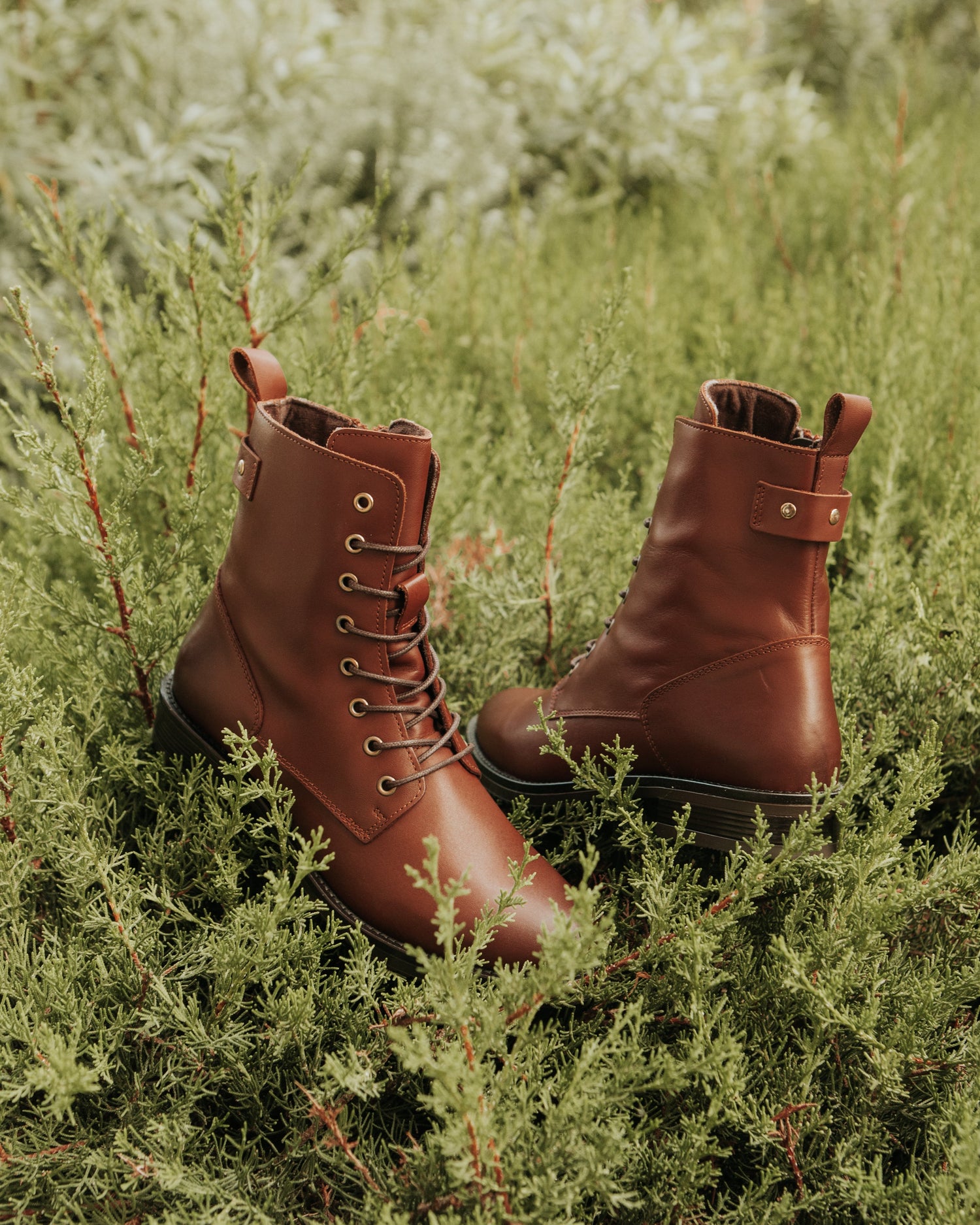 Botines